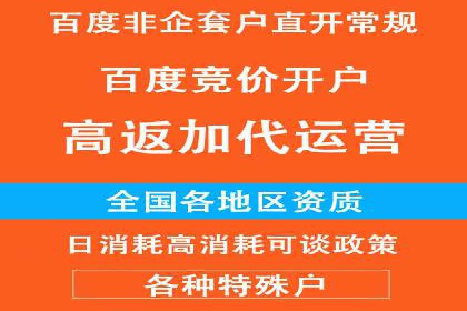 成功企业如何借助百度推广代运营公司实现逆袭